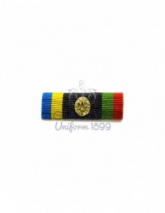 Nastrino/medaglia Brevetto Sportivo Dosb 2