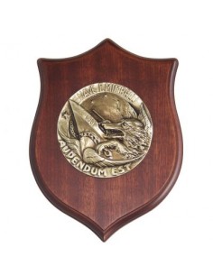 CREST ARALDICO NAVE...
