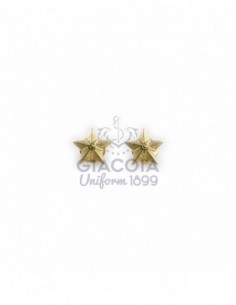 Stellette Metallo Oro A Clips (coppia)
