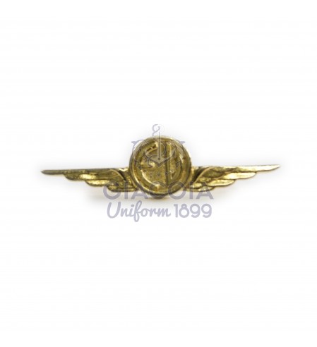 Aquiletta Di Categoria Equipaggi Volo
