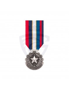Medaglia VETERANO DELLA DIFESA
